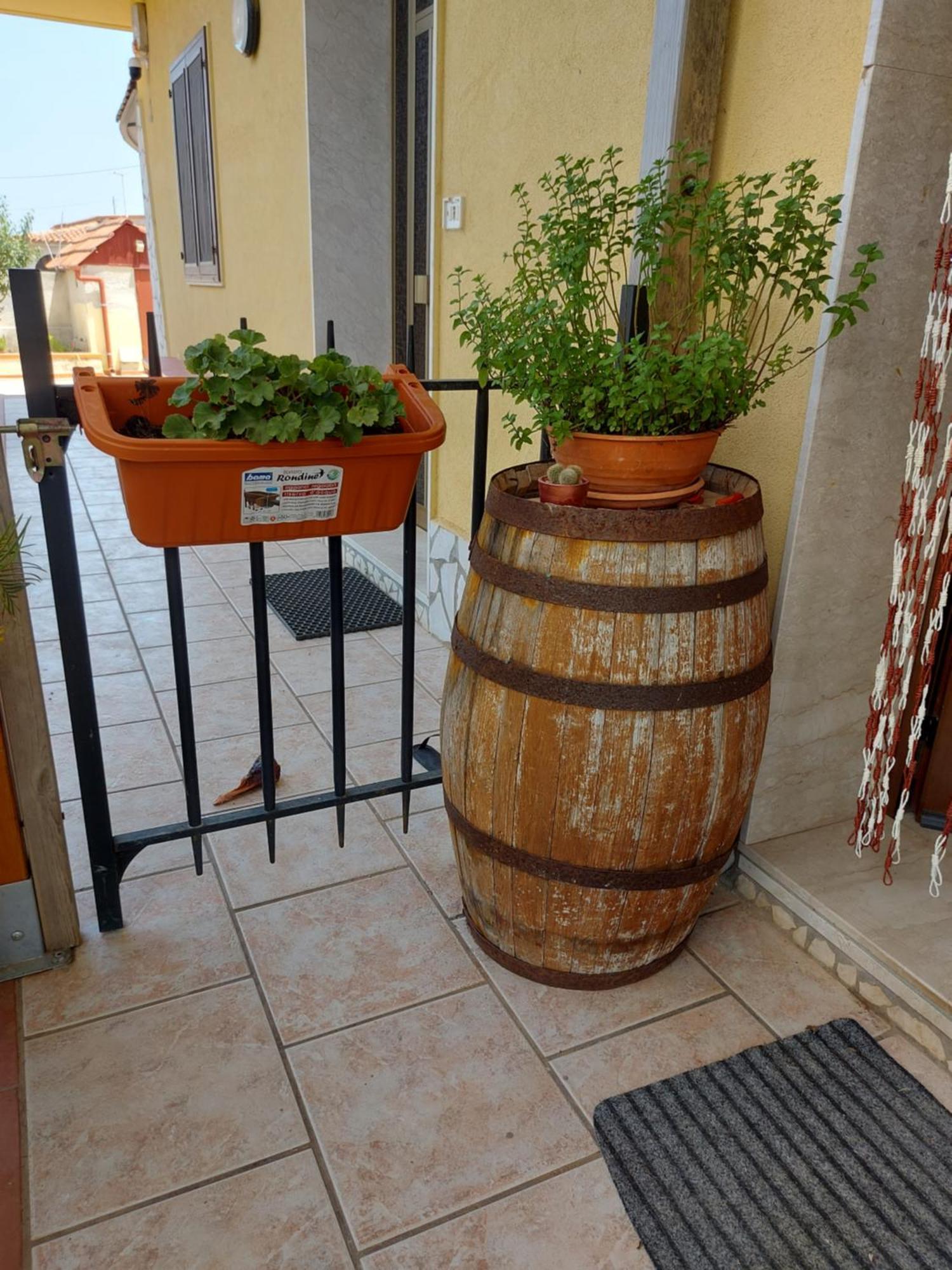 Elorina Sicily Home Syracuse ภายนอก รูปภาพ
